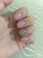 /album/nossa-galeria/on%c3%a7a-olhos-pantera4-jpg/